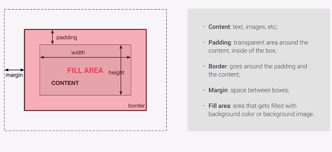 Box Model